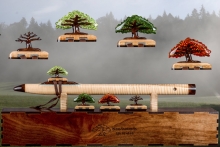 Curly Silver Maple Native American Flute, Minor, Mid F#-4, #N62C